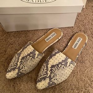Steve Madden Mules